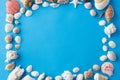 Frame of different sea shells on blue background Royalty Free Stock Photo