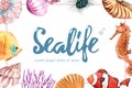 Sealife themed frame design with sea animal concept, creative watercolor vector illustration Royalty Free Stock Photo