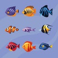 sealife underwater nine icons Royalty Free Stock Photo