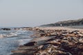 Seals basking in the sun by the water on Horsey beach, Norfolk, UK, in spring