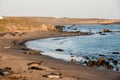 Seals and fur seals on the Pacific Ocean, Monterey, California, USA Royalty Free Stock Photo