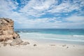 Seals having a rest on the beach