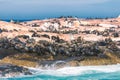 Seals on a Hout Bay seal island in Cape Town Royalty Free Stock Photo