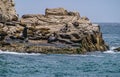 Seals on Lands End rocks formation at Cabo San Lucas, Mexico Royalty Free Stock Photo