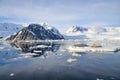 Seals lying on the ice floating in still waters