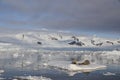 Seals lying on iceberg Royalty Free Stock Photo