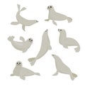 seals. north antarctica animals, seals lying in different poses, cute funny cartoon characters. vector ocean flat