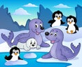 Seals and penguins theme image 1