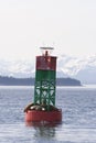 Seals Resting on Buoy In Junea Royalty Free Stock Photo