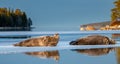 Seals resting on an ice floe in sunset light. The bearded seal Royalty Free Stock Photo