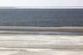 Seals upon sandbank near Hollum, Ameland