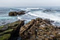 Seals and Seagulls on Rock Formations in La Jolla, California Royalty Free Stock Photo