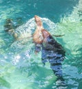 Seals Swimming in a Pool