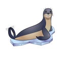 Seal animal lies on an ice floe and smiles