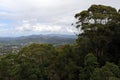 Sealy Lookout Forest Sky Pier at Coffs Harbour