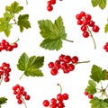 Seameless pattern of red currant berries
