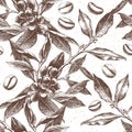 Seamles pattern with coffee plant and beans