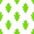 Seamles pattern. Flat Icon of oak leaf on white background. Royalty Free Stock Photo