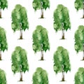 Seamles pattern of green watercolor birch on white background