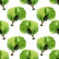 Seamles pattern of green watercolor willow on white background