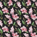 Seamles pattern with Spring japanese sakura with pink flowers on black background. Hand Drawn Cherry Blossoms floral