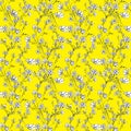 Seamles pattern of tree branch with flowers and leaves, graphic hand drawn, blossom tree on yellow background. Simple pencil art