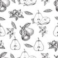 Seamles pattern vector hand made sketch illustration of engraving pear