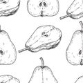 Seamles pattern vector hand made sketch illustration of engraving pear on white background Royalty Free Stock Photo