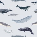 Simple seamless pattern with different whales. Royalty Free Stock Photo