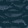 Blue Seamles pattern with whales. Royalty Free Stock Photo