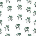 Vine in the pot illustration on white background. houseplant, flowert pot. home interior. seamless pattern, hand drawn vector. doo Royalty Free Stock Photo
