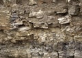 Seamless abstract background. Cracks and layers of sandstone. The pattern of the variegated sandstone Geological layers of earth. Royalty Free Stock Photo