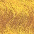 Seamless abstract grassland background with grunge wavy stripes in yellow, orange, brown colors Royalty Free Stock Photo