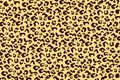 Seamless abstract leopard pattern with print animal background.