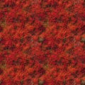 Aerial view of red poppy field. AI generative illustration