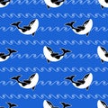 Seamless abstract pattern. Colorful orca whale and white line waves on blue background. Killer whale in ocean, animal print Royalty Free Stock Photo
