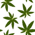Hemp leaf pattern