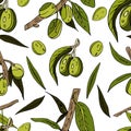Seamless abstract pattern of olives, twigs, leaves and fruits on