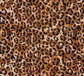 Seamless abstract pattern on a skin leopard texture, snake.