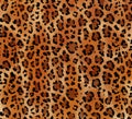 Seamless abstract pattern on a skin leopard texture, snake. Royalty Free Stock Photo