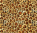 Seamless abstract pattern on a skin leopard texture, snake.