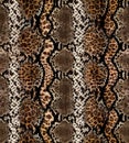 Seamless abstract pattern on a skin texture, snake.