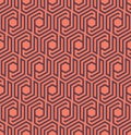 Seamles geometric pattern with lines and hexagons - vector eps8