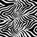 Seamless abstract zebra skin pattern background. Decorative design freehand creative paint. Texture chaotic element. Royalty Free Stock Photo