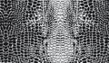 Seamless alligator skin repeat pattern