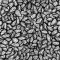 Seamless almond pattern, hand drawn black and white pattern - a pile of almond seeds, uncolored wrapping paper pattern, good for Royalty Free Stock Photo