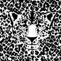 Seamless animal fur pattern vector Royalty Free Stock Photo