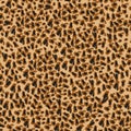 Seamless animal leopard pattern, vector illustiration. eps 10