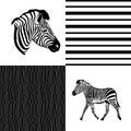 Seamless animal pattern skin fur vector zebra pack Royalty Free Stock Photo