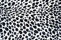 Seamless animal pattern for textile design. Seamless pattern of